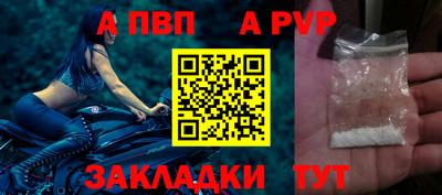 мяу мяу мука Ачхой-Мартан