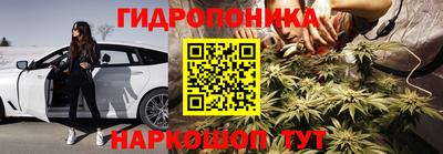 мяу мяу мука Ачхой-Мартан