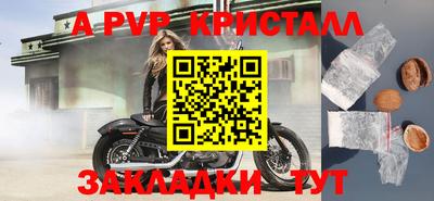 мяу мяу мука Ачхой-Мартан