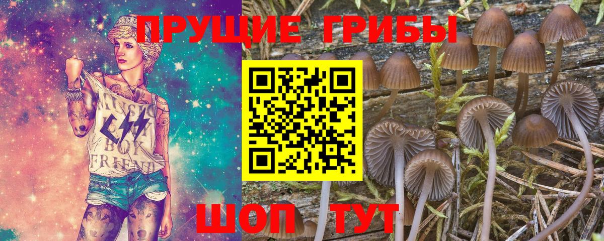 Ахтубинск  Псилоцибиновые грибы мухоморы  Вход с VPN 
